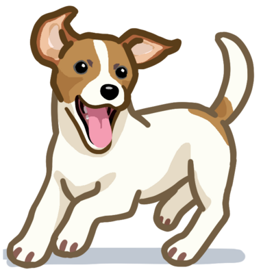 ジャック・ラッセル・テリア (スムース/タン)/Jack Russell Terrier(smooth/white&tan)