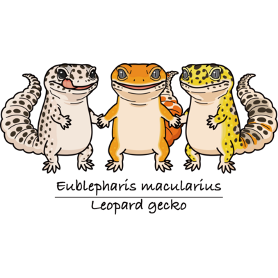 Tシャツセール