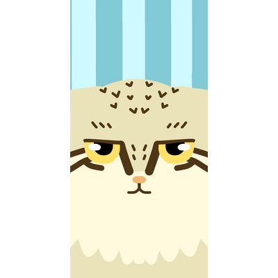猫