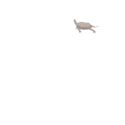 美術
