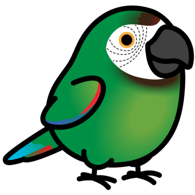 コンゴウインコ