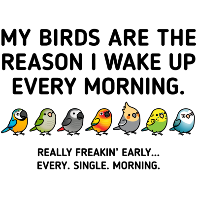 鳥さん大集合