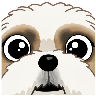 シー・ズー / Shih Tzu