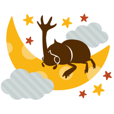 昆虫