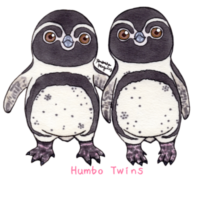 フンボルトペンギン