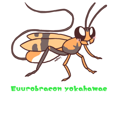 クワガタ アイテム グッズの通販 Suzuri スズリ クワガタ アイテム グッズの通販 Suzuri スズリ