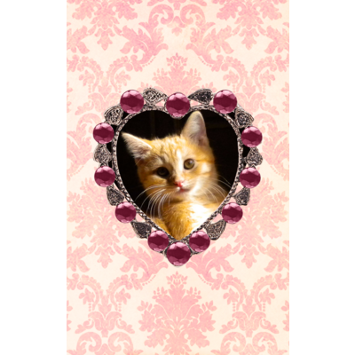ねこ ねこ ねこ♥猫の日(猫さん以外の動物も、こちらです♪)