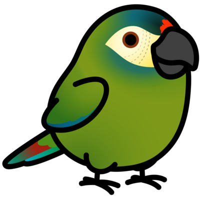 コンゴウインコ