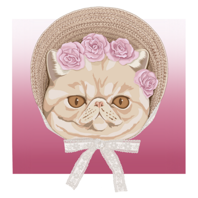 Exotic shorthair×ボンネット帽