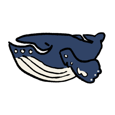 ザトウクジラ🐳