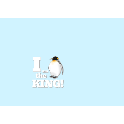 我こそはオウサマ(ペンギン)
