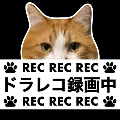 ドラレコステッカー