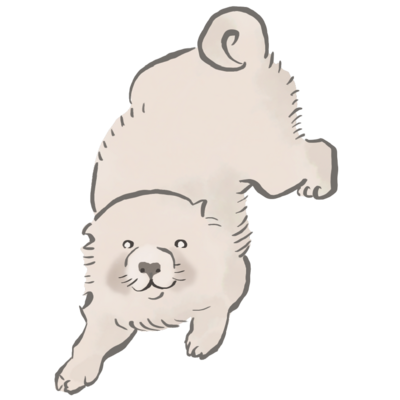 動物