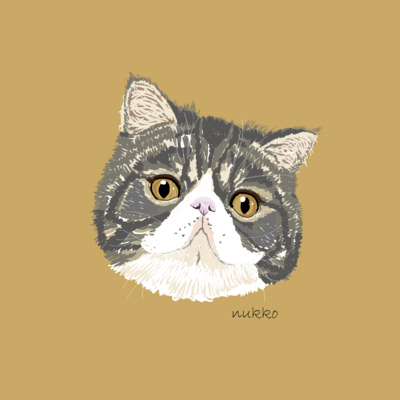 ねこのあおさん