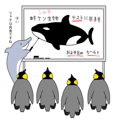イルカ先生の授業