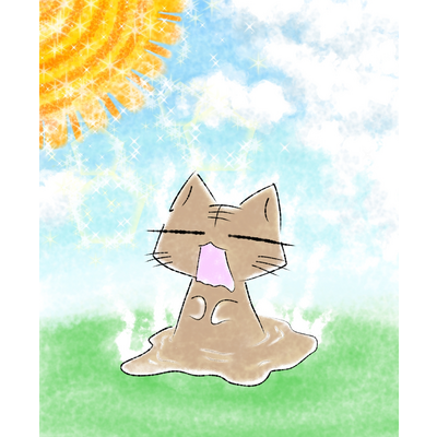 猫