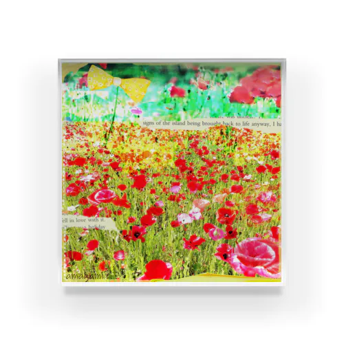 poppy garden. Acrylic Block