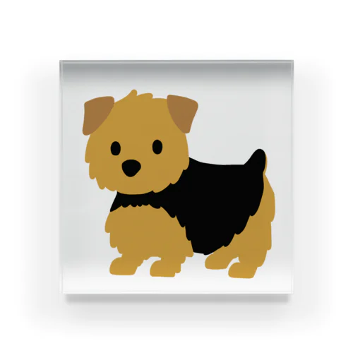 norfolkterrier（ブラタン） Acrylic Block