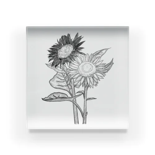 SunFlowerひまわりモノトーン Acrylic Block