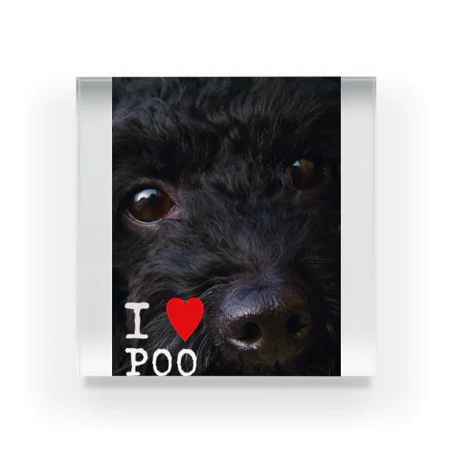 黒いトイプードル_I love poodle. Acrylic Block