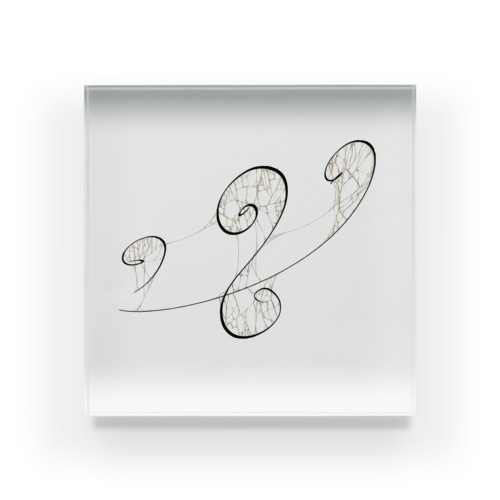 網 Acrylic Block