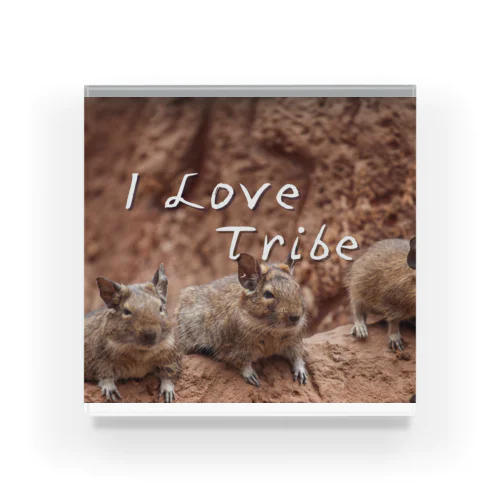 I LOVE Tribe アクリルブロック