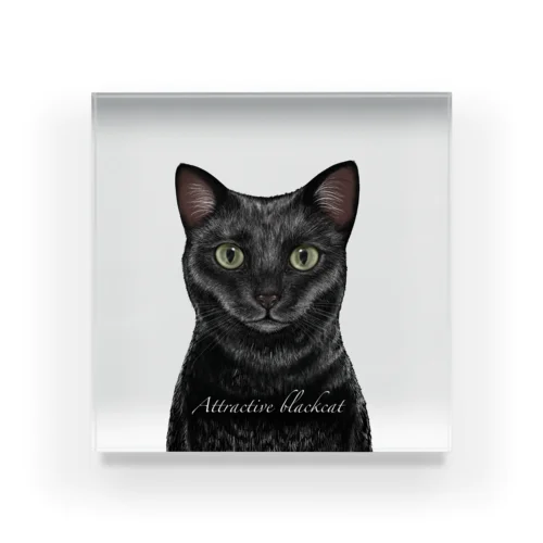 魅力的な黒猫〜Attractive black cat〜 Acrylic Block