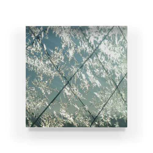 201212210828001　明るい朝の氷紋 Acrylic Block