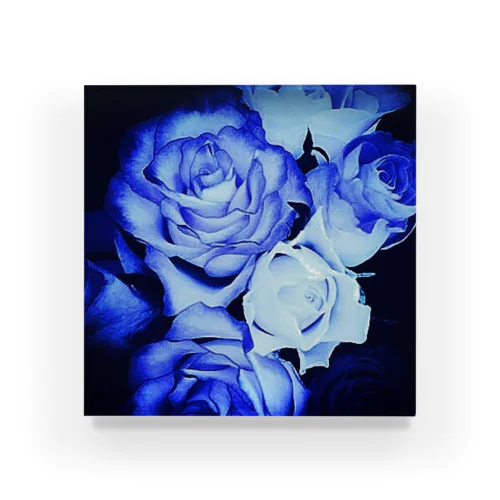 BLUE Rose Acrylic Block