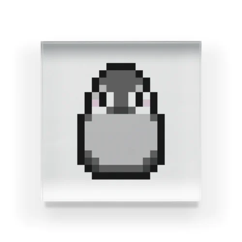 ＼ぴぐー／dot*penguin アクリルブロック