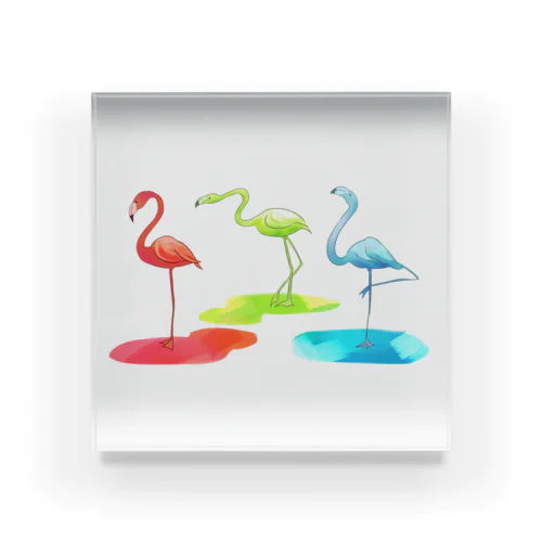 color-mingo Acrylic Block