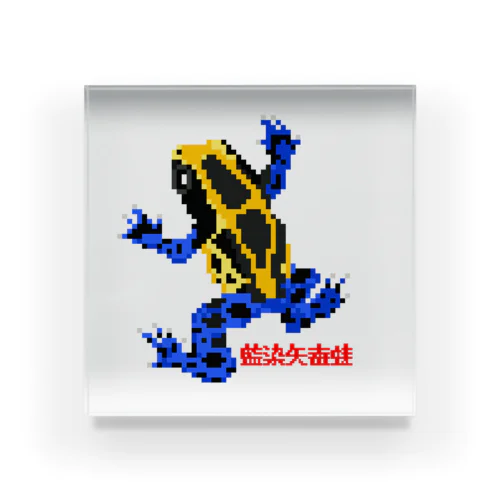 アイゾメヤドクガエル(藍染矢毒蛙) ドット絵 Acrylic Block