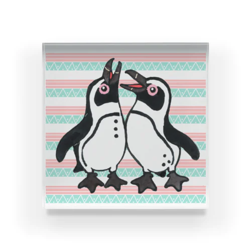 仲良く鳴き合うケープペンギン🐧背景ありB Acrylic Block