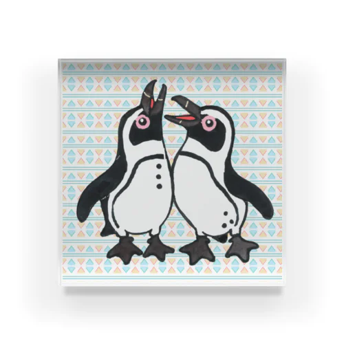 仲良く鳴き合うケープペンギン🐧背景ありC アクリルブロック