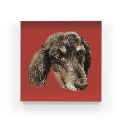 E家の犬 Acrylic Block