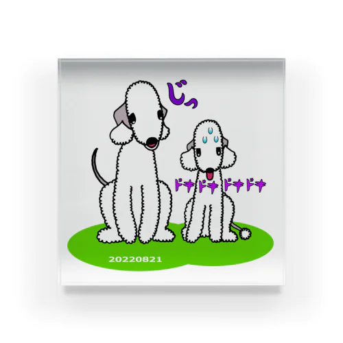 ピーチとモナカメモリアル Acrylic Block