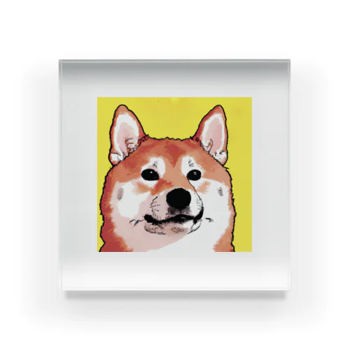 コミック柴犬2 Acrylic Block