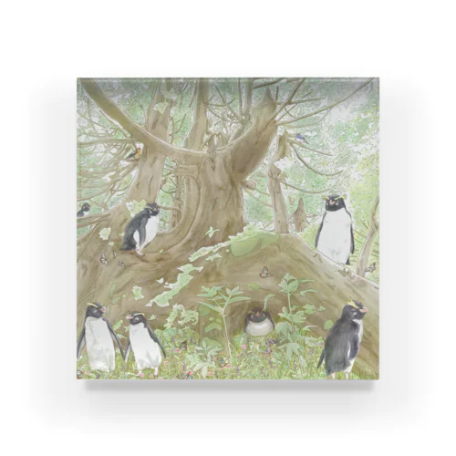 森のペンギン アクリルブロック