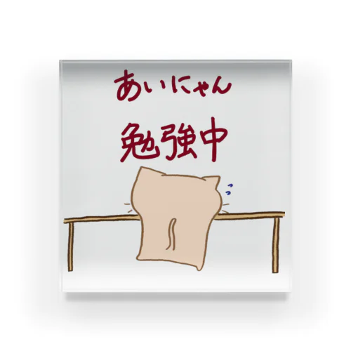 あいにゃん 勉強中 (背中姿Ver) Acrylic Block