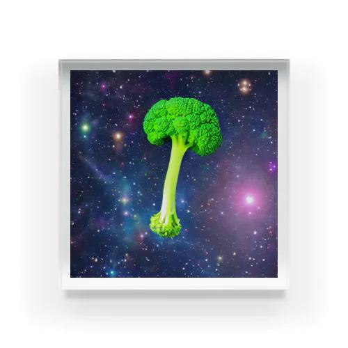 スペース・ブロッコリー🥦 アクリルブロック