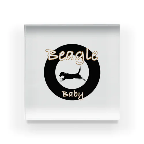 Beagle babyロゴ１ アクリルブロック