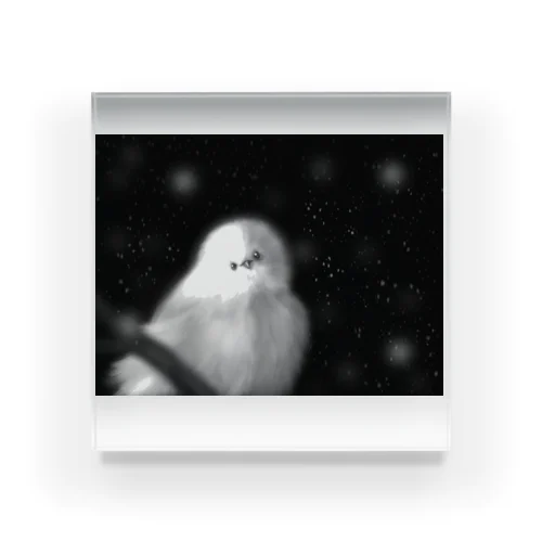 a snow bird Acrylic Block