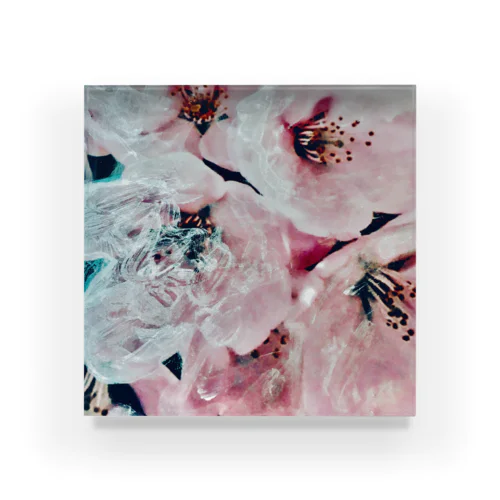 Blossoms : shine  Acrylic Block