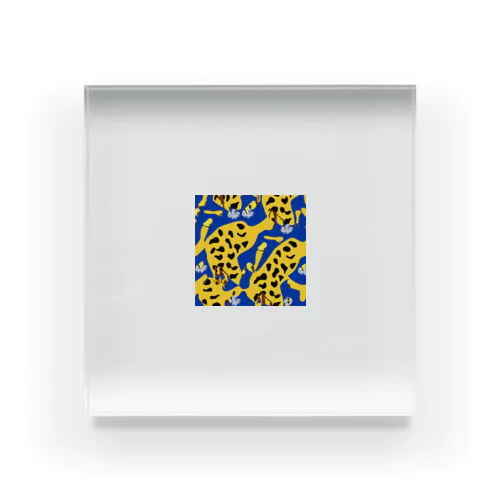 原色のアフリカン Acrylic Block