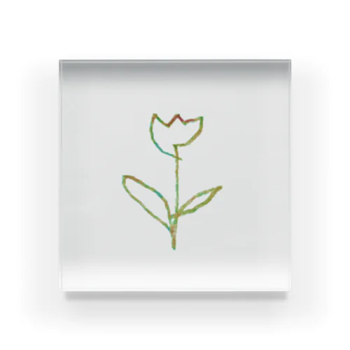 虹色 Tulip Acrylic Block