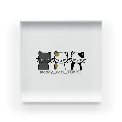 moody_cats_TOKYO Acrylic Block