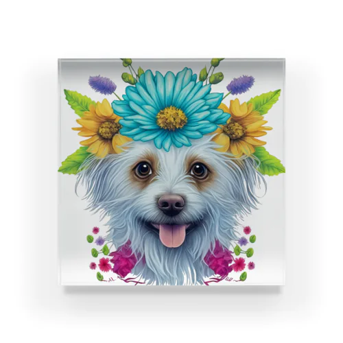 花柄のポメラニアン犬と子犬。 女の子と男の子への美しい贈り物。 アクリルブロック