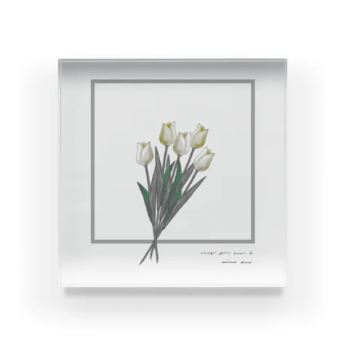 Hanataba , Cream Tulip Acrylic Block