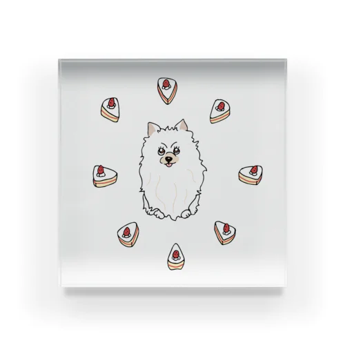 a pomeranian / shortcake アクリルブロック