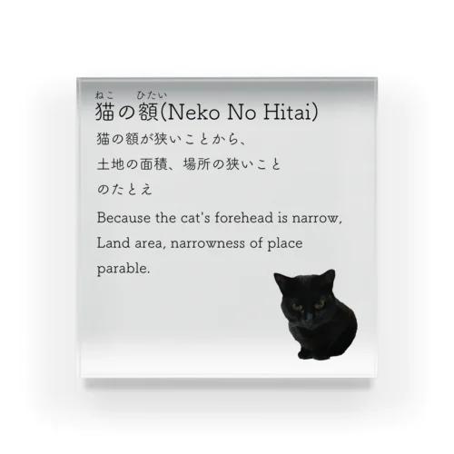 猫の額-Neko No Hitai- Acrylic Block